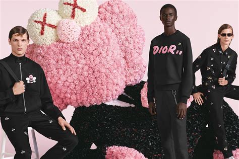 Dior x KAWS: The Snake Collection Everyone’s 